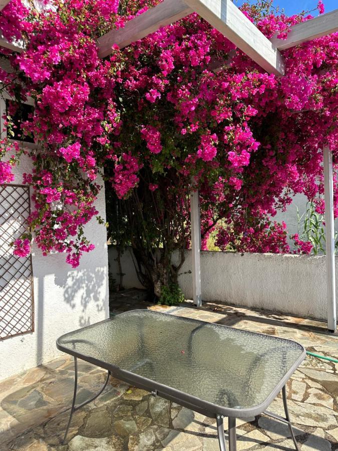 Villa Pinelopi Каламата Екстериор снимка