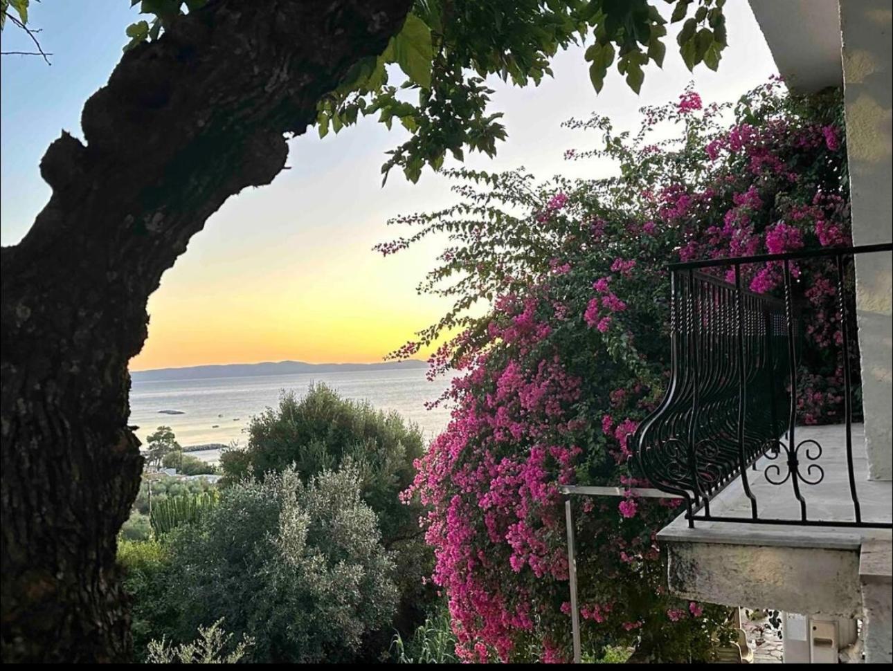 Villa Pinelopi Каламата Екстериор снимка